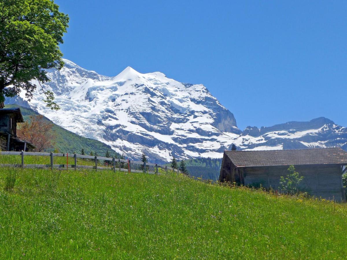 Apartment Tschingelhorn By Interhome Wengen Esterno foto