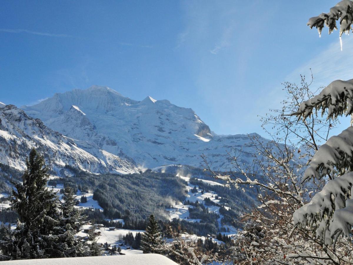 Apartment Tschingelhorn By Interhome Wengen Esterno foto